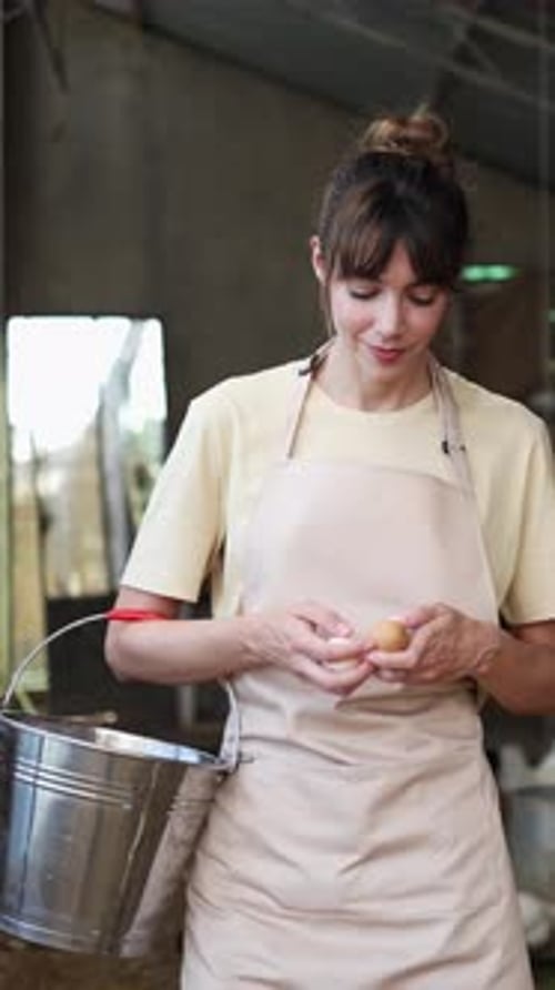 Woman collecting eggs at a farm
