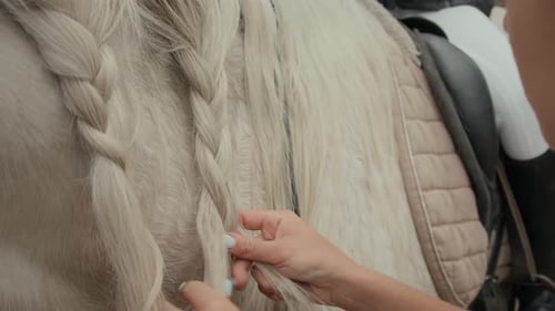 Chica caucásica trenzando melena de caballo blanca