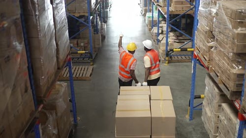 Logistics employees are working warehouse.