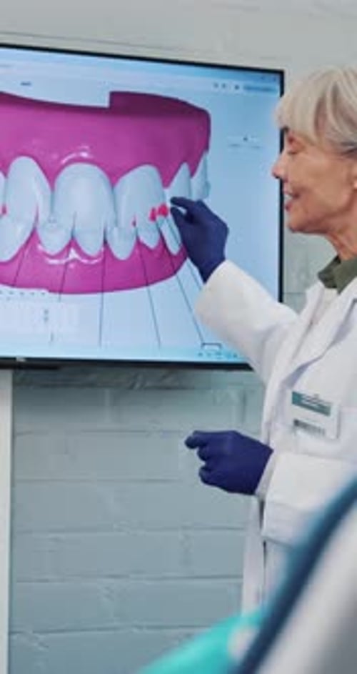 Dental Professional Explains Teeth Anatomy Using Digital Display