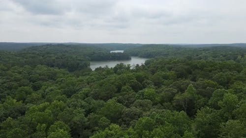 Flying a drone over a forest of trees as a lake appears.