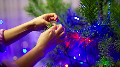 Girl decorates Christmas tree. Close up of woman hands decorate Christmas tree at home