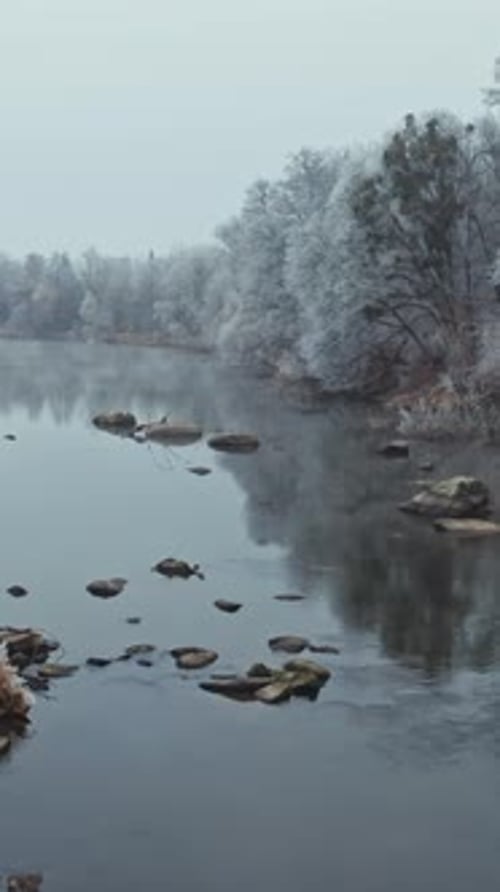 Beautiful river in winter season. Flight over the trees covered with white snow