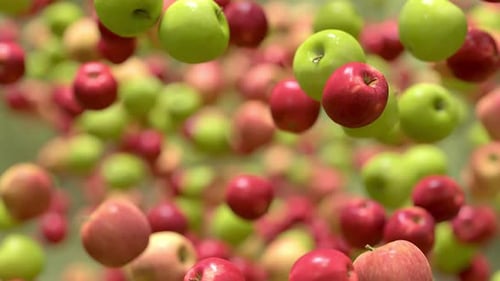 Apple Flying