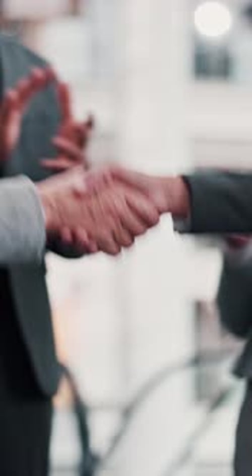 Business Handshake After Successful Meeting
