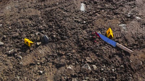 Police crime markers next to evidence like bloody knife and a footprint in mud at sunny rural area.