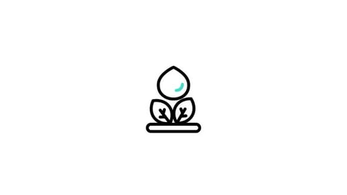 Minimalist Plant and Water Drop Growth Icon Animation