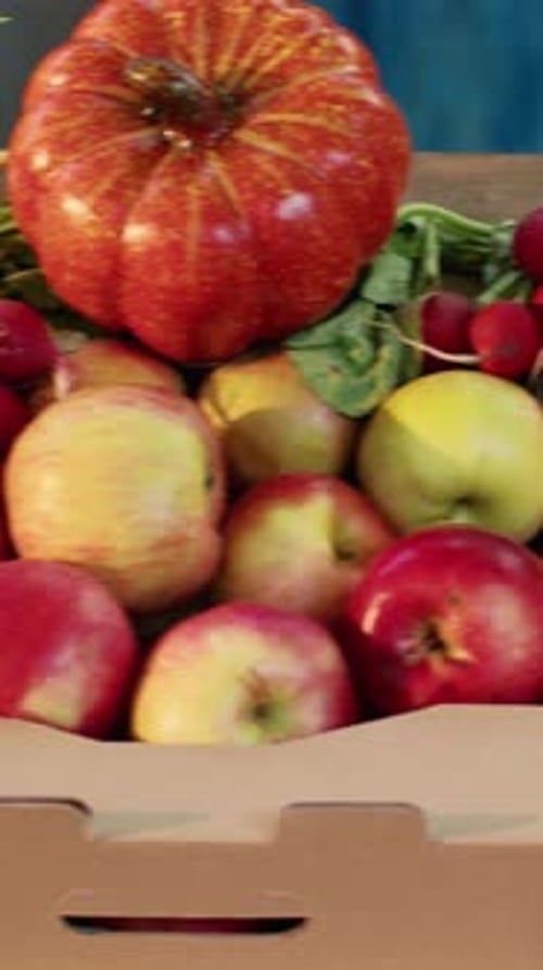 Vertical Video Various Organic Farmers Market Products From Greenmarket
