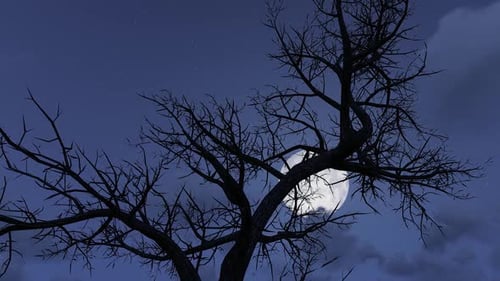 Spooky Night Sky with Bare Tree and Full Moon