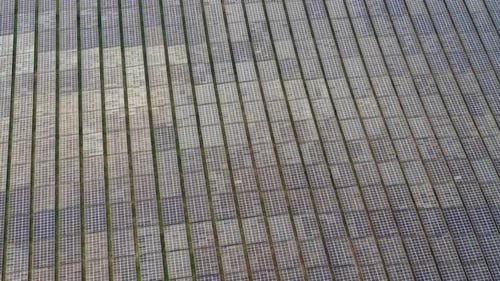Drone aerial view of large solar panel farm