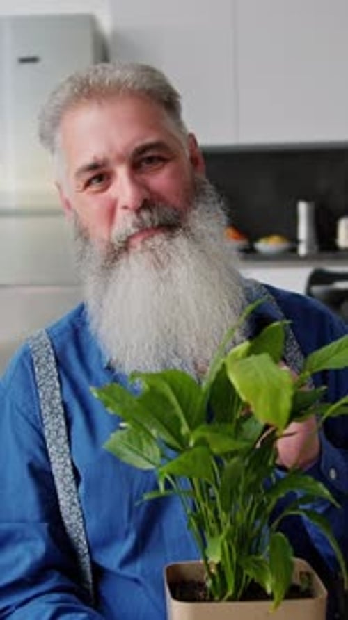Senior Man Holding Green Plant in Home Kitchen