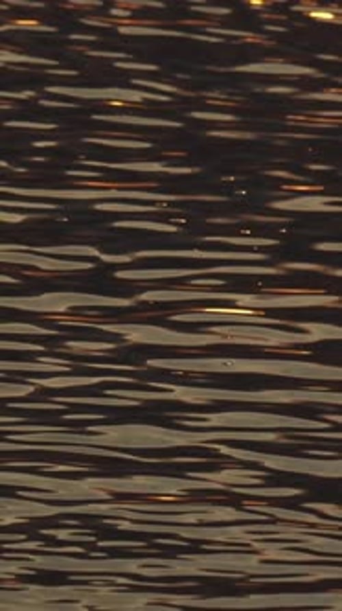 Close Up Video of Water at Sunset timeVertical Video