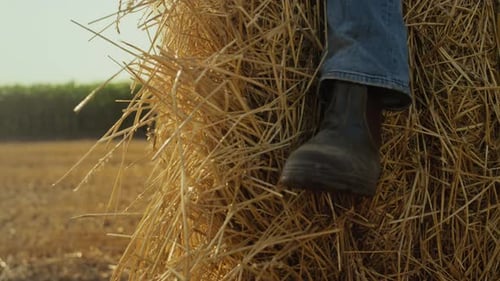 Closeup Boot Hay Stack at Wheat Stubble Field