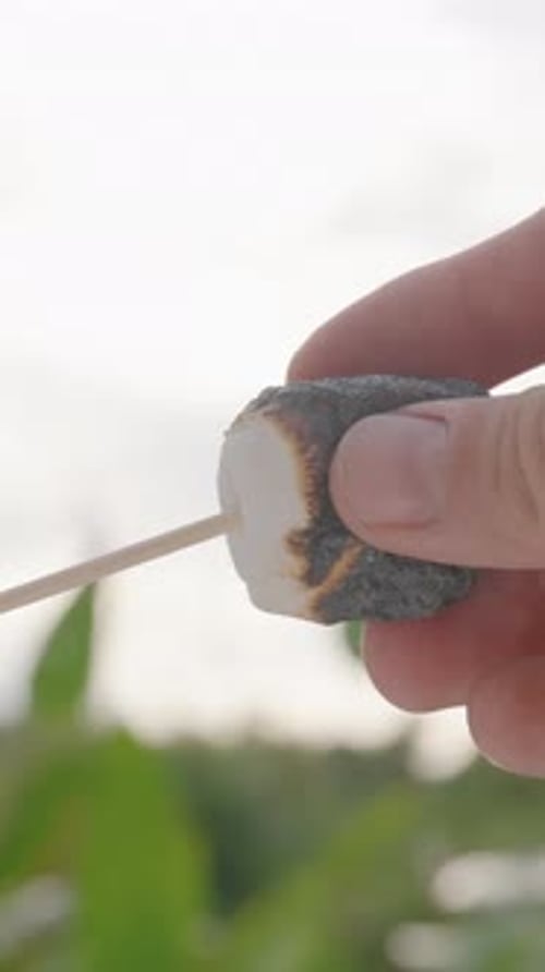 Vertical video. Hand Holding Gooey Marshmallow Pulled from Stick with Melted Center Against Sky and