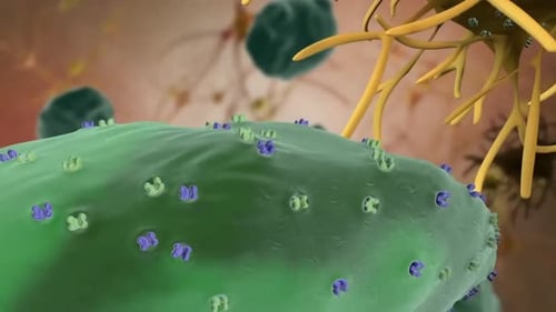 Detailed 3D illustration of cellular structures on a cell membrane