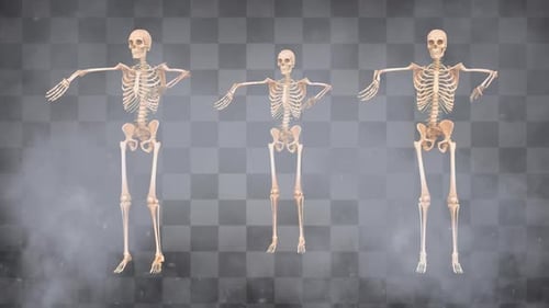 Brown Skeleton Samba Dancing Transparent Background