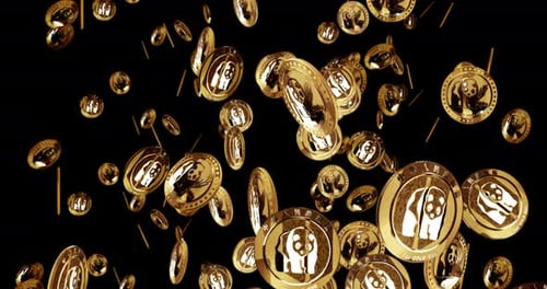 Panda chinese golden coin rain isolated loop