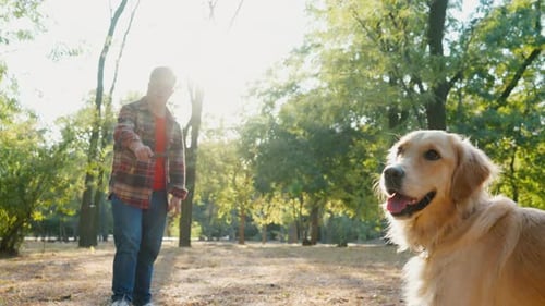 Junger Mann mit Down-Syndrom im karierten Hemd spaziert mit Golden Retriever-Hund draußen in der