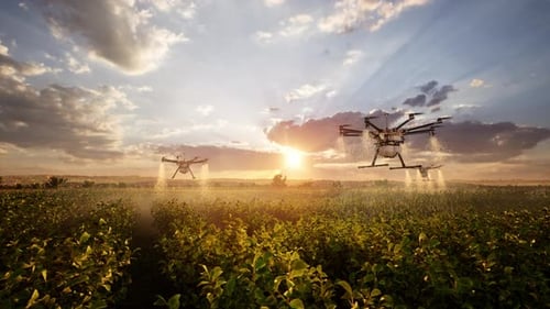 Agricultural Drones Spraying Pesticides Over A Field At Sunset