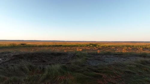 Fpv shot of Salt Marsh and sandy grass at sunset in Cape Cod, Barnstable, Massachusetts, USA