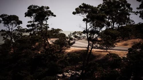 Küstenstraße schlängelt sich durch bewaldete Landschaft am Meer
