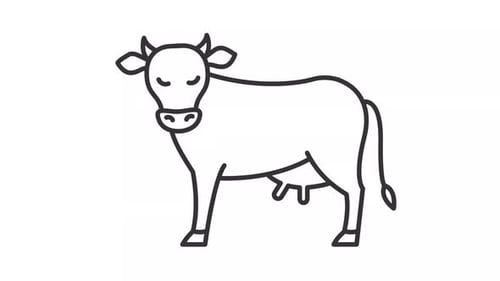 Minimalist Blinking Cow Line Art Animation