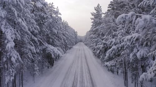 Aerial Footage of Road in Winter Forest Landscape