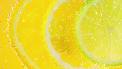 Lemon and Lime Slices in Fizzy Water