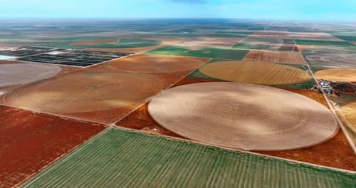 Squares and circles of diverse colors on the vast field.