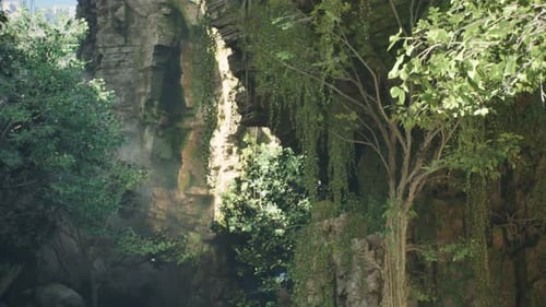 Lush Green Cliffside Draped In Hanging Vines And Foliage In Natural Sunlight