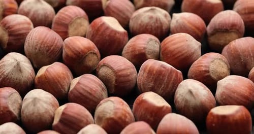 Whole Hazelnuts Closeup on Rotating Platform