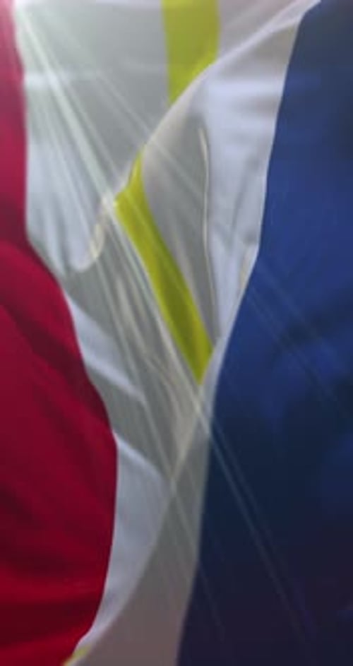 Realistic Waving Red White Yellow Blue Flag Vertical Video