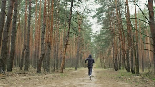 Young Fit Athlete Man Runs in the Forest Morning Outdoor Run in the Nature Healthy Lifestyle