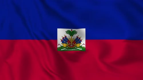 Realistic Waving Haiti Flag Seamless Loop Animation