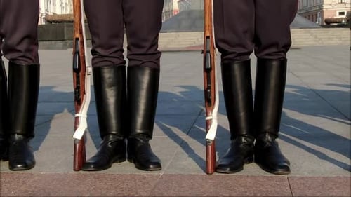 Guards of Honor Armed on Duty