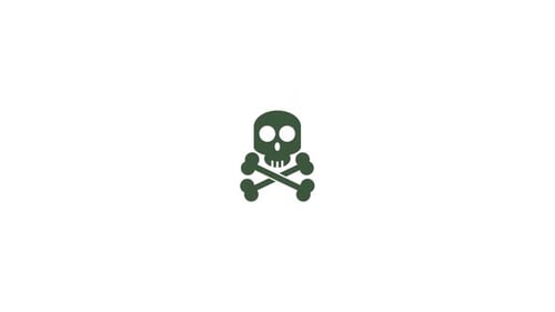 Flat Design Skull and Crossbones Logo Animation