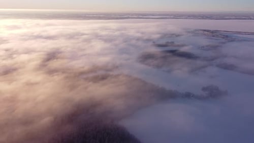 Aerial View of Foggy Winter Landscape at Sunrise