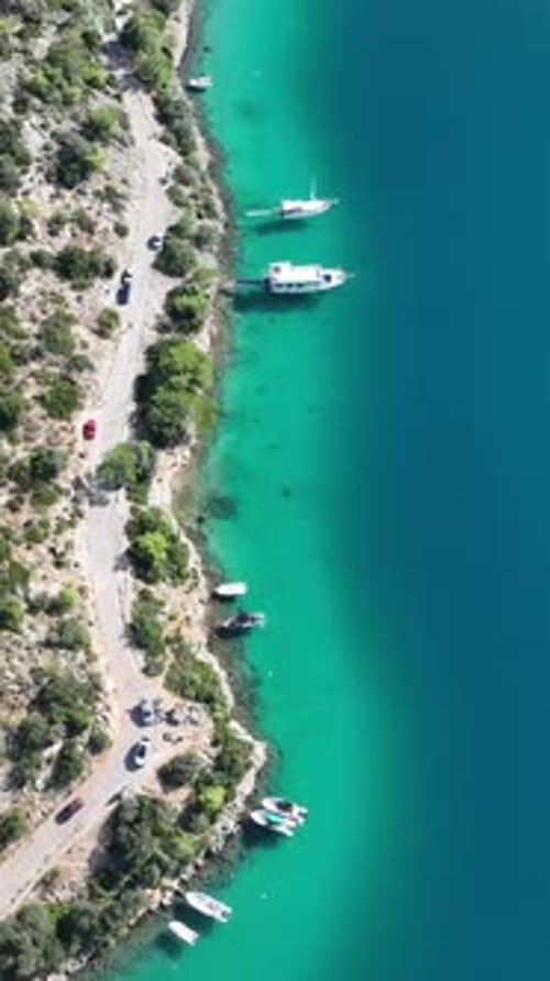 Drone view of coastal summer nature