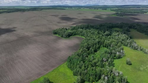 Fields And Forests From A Bird’s Eye View