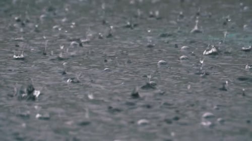 Large Drops of Rain Fall in a Puddle During a Rainstorm Water Drops