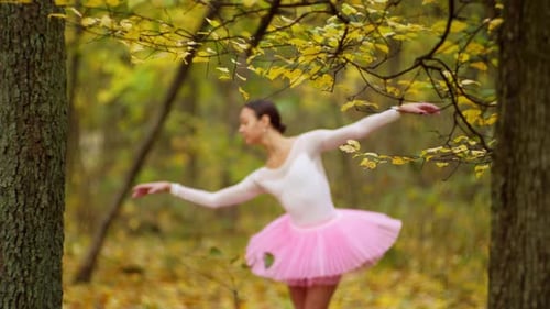 Ballerina Dancing Gracefully in Autumn Woods