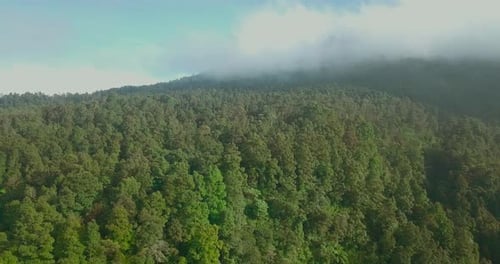 Drohnenaufnahmen des Waldes mit Wolken bewegen sich auf ihm vorwärts. Dichter Regenwald und Hügel auf tropischem Klima