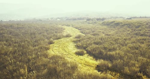 Serene Winding Path Through Grassy Landscape in Soft Afternoon Light