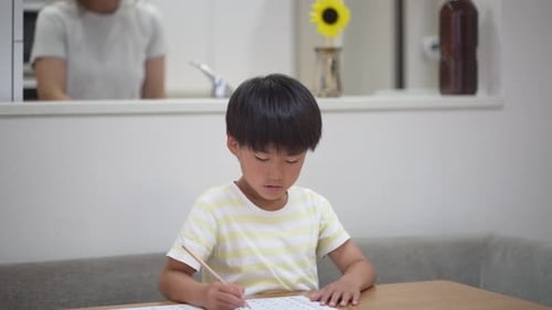 Young Boy Studying at Table Indoors