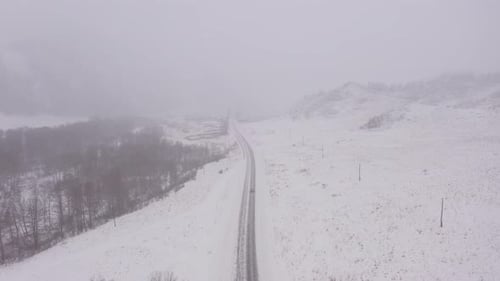 Winter Road During the Foggy Weather