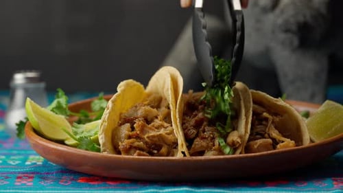 Place Chopped Cilantro On Cooked Mexican Pork Tacos Using Tongs