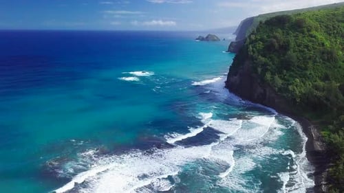 Green tropical coast