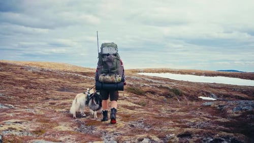 Man Walking With His Dogs Near Reinsjoen Lake In Norway - Wide Shot