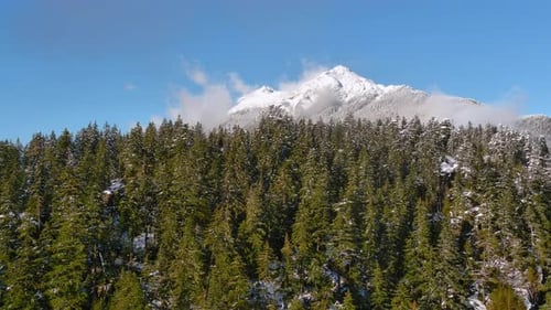 Snowy Mountains and Trees in Canadian Nature Landscape Winter Season Sunny Day Aerial View