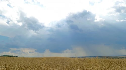 Ein ferner Sturm über einem endlosen Feld
